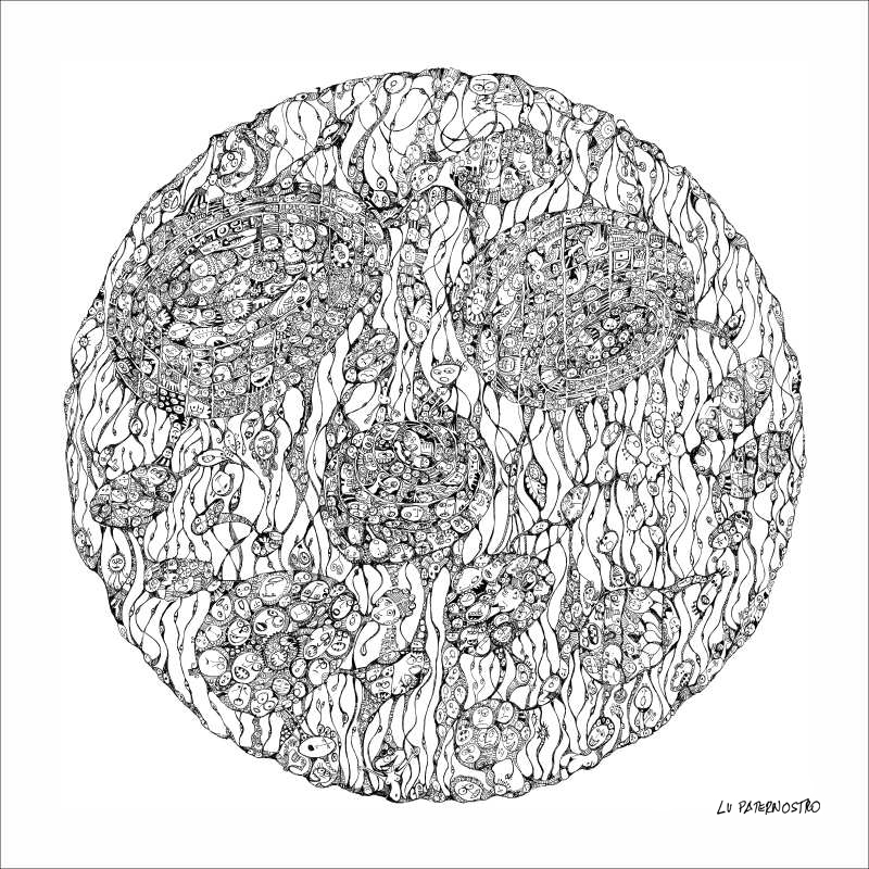 plofs lu paternostro