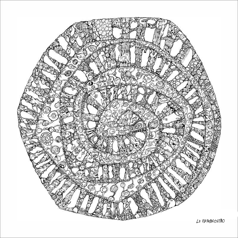 Espiral Sonho Lu paternostro