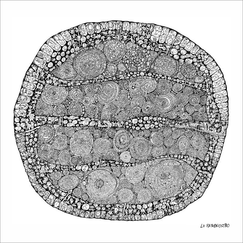 Falatorio perturbador lu paternostro