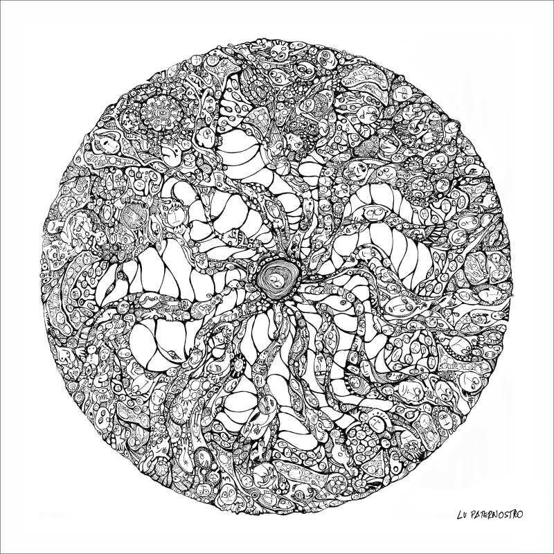 polvo-mandalas-mundo