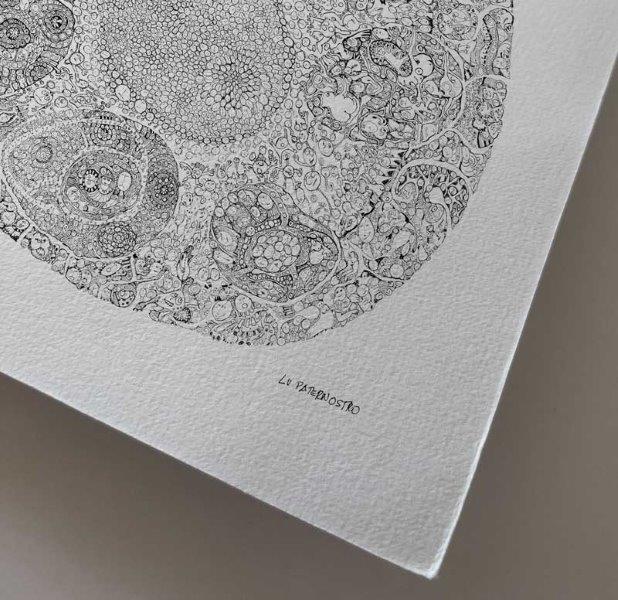 cabeças ocultas lu paternostro