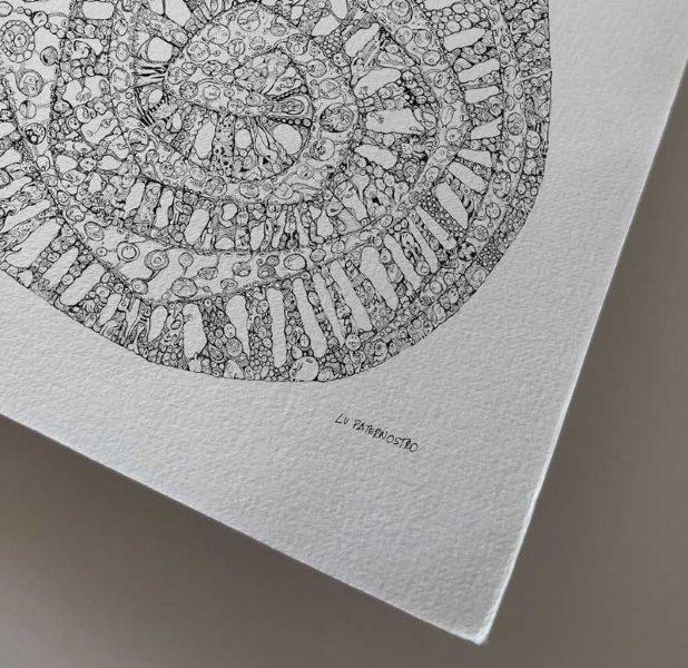 Espiral Sonho Lu paternostro