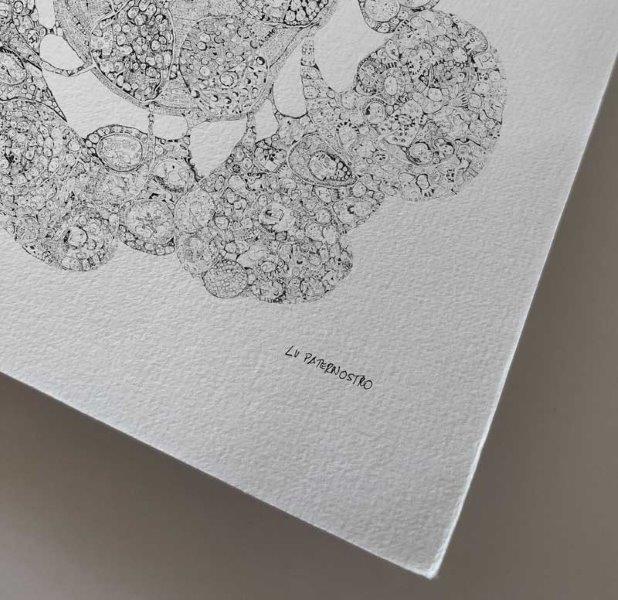 bubble lu paternostro